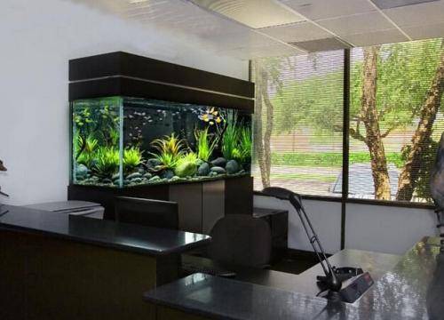 慈世堂：办公室鱼缸摆放位置办公室装修的十大原则