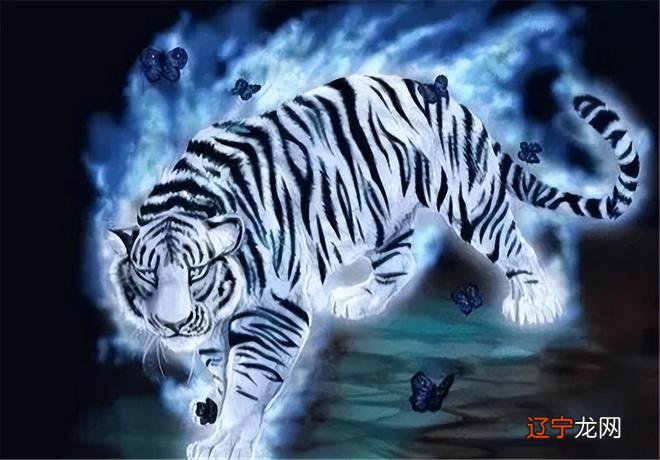 灵兽四灵兽中的白虎含义，你知道几个？