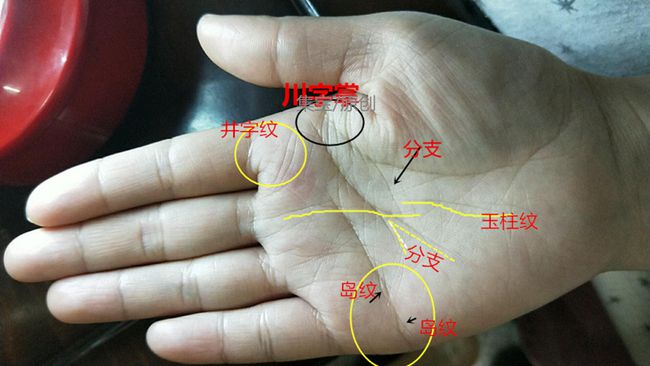 男人左手手纹线图解大全一样的断掌男人手相有什么含义